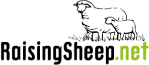 RaisingSheep.net