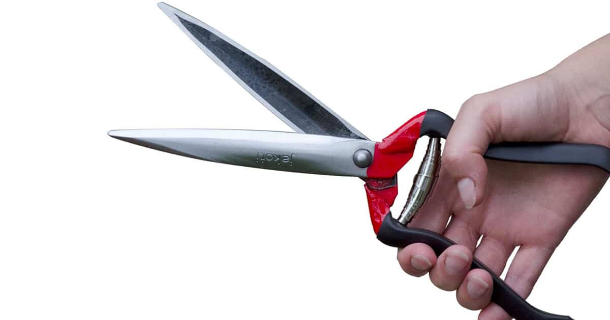 Hand sheep shears clippers