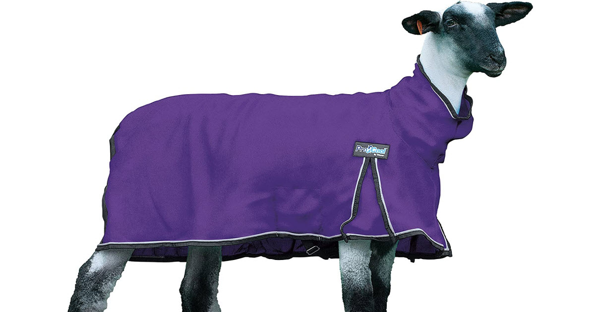 ProCool Sheep Blanket Review (Mesh Manufactured by Weaver Leather)