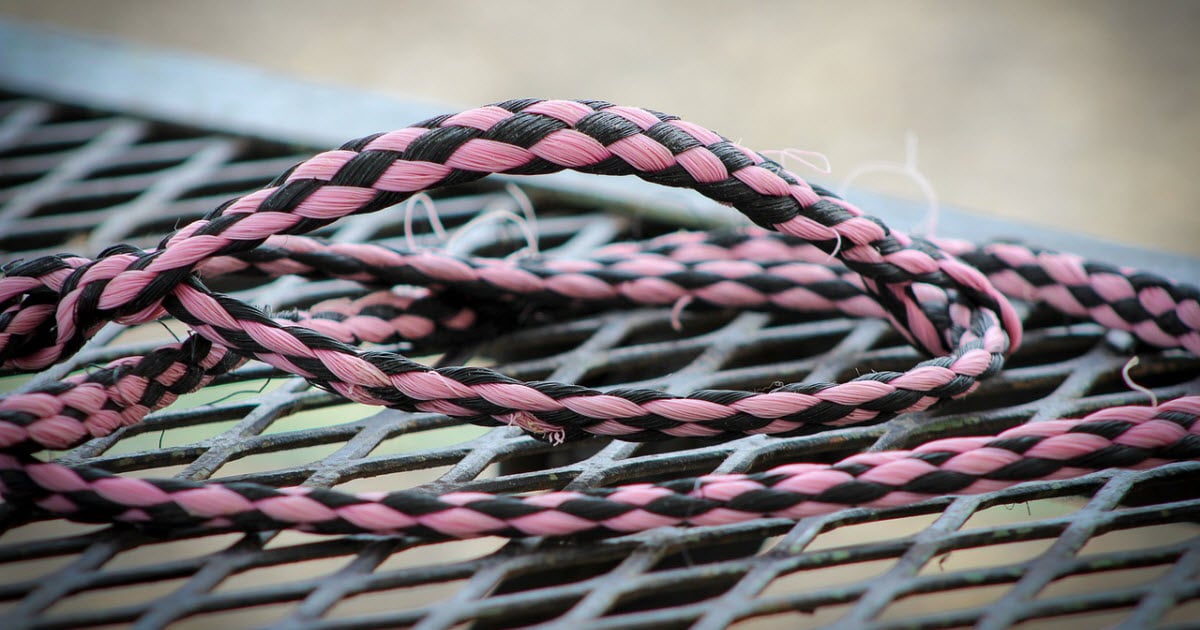 Show Lamb Supplies 4H Sheep Showing Equipment [12 Required Items]