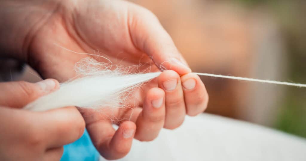 Spinning Wool