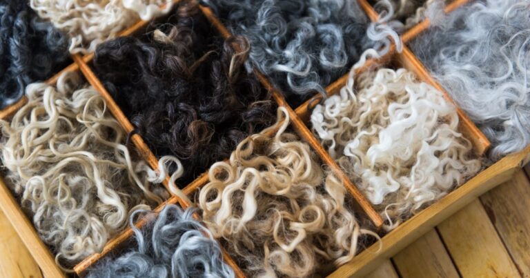 Types of Wool