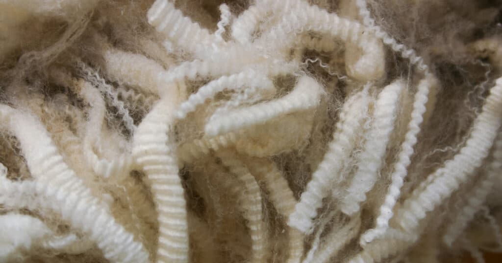 What is Merino Wool? (and why it is so special) 