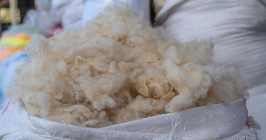 How Much is Sheep Wool Worth