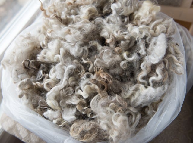 What Factors Affect the Value of Sheep Wool?