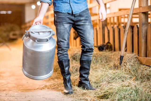 Bulk Tank for Sheep Milk