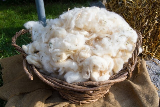 What is Wool Made Of? - Keratin / Protein