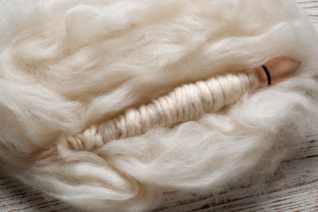 Close up of Washed Wool