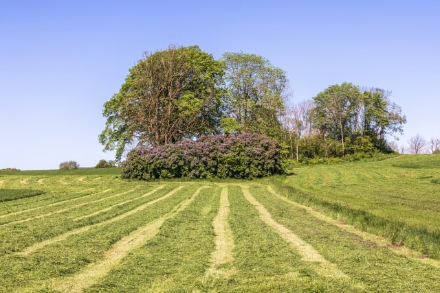 How are Hay and Haylage Made