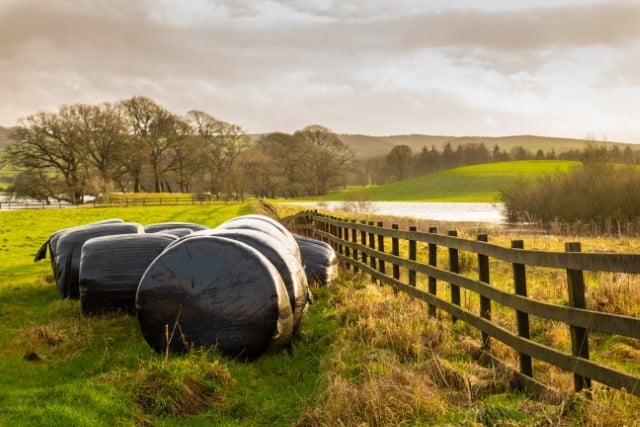 What are Haylage and Silage Made of